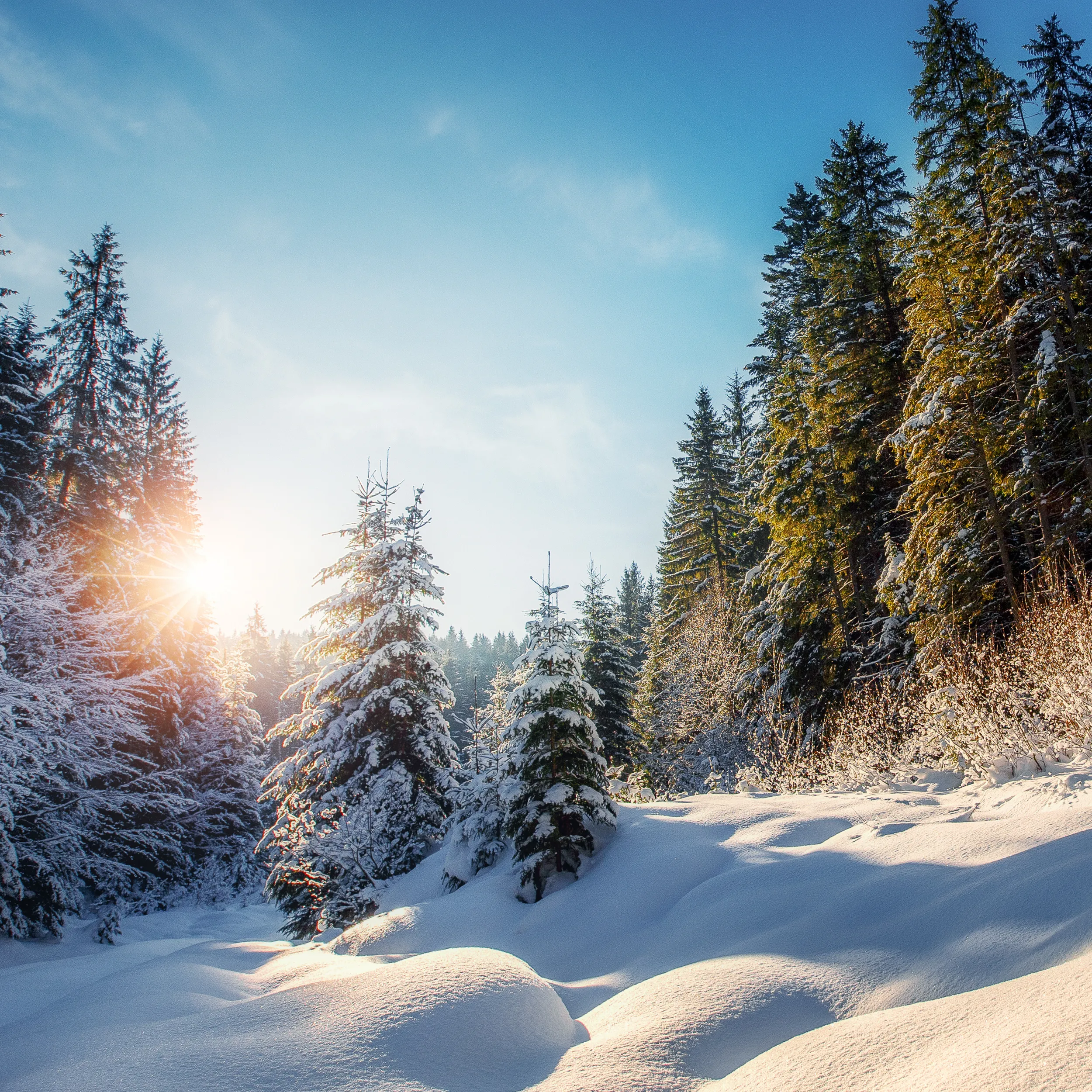 Der Winterkatalog 2026/27 ist da!